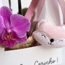 Orquídea com Naninha