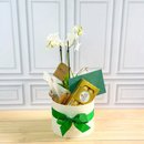 Box Orquídea e Chocolate Ferrero Rocher