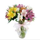 Buquê de Astromélias em Vaso de Vidro