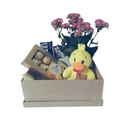 Presente em Caixa de TNT