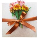 Caixa de Frios Bom Dia