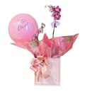 Orquídea - Elegância Floral e Balão Personalizado