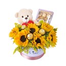 Box de Girassol com Pelúcia e Girassol
