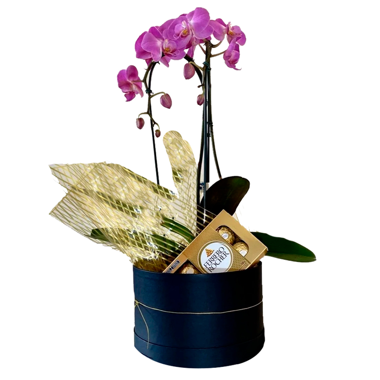 Box orquídea cascata