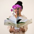 Orquídea Cascata Presente