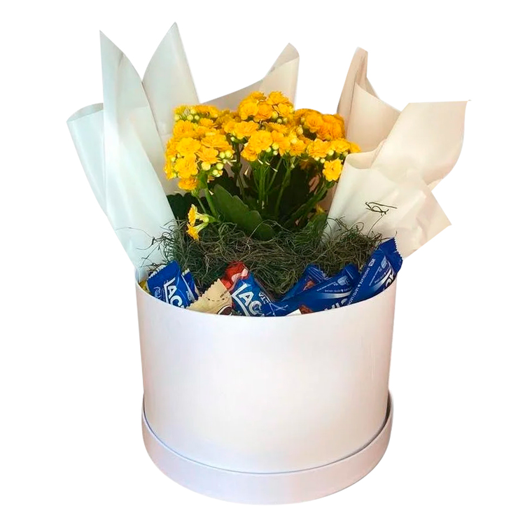 Cesta com Doce e Flores