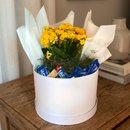 Cesta com Doce e Flores 