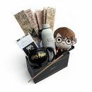 Cesta Harry Potter Magic Experience