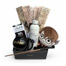 Cesta Harry Potter Magic Experience