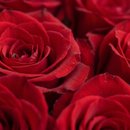 Buquê de 30 Rosas Colombianas Freedom