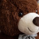 Urso Gigante Premium FIZZY TOYS 1,50m  Mega Pelúcia 