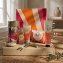 Box L'Occitane Caju Premium