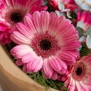 Buquê Encanto Rosa Gérberas