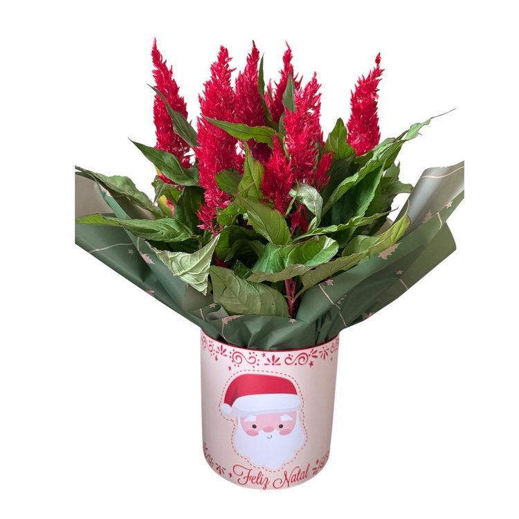 Cachepô Natal Moderno