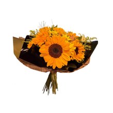 Buquê 10 Girassóis Premium