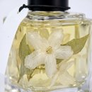Aromatizador Home Spray Harmonia