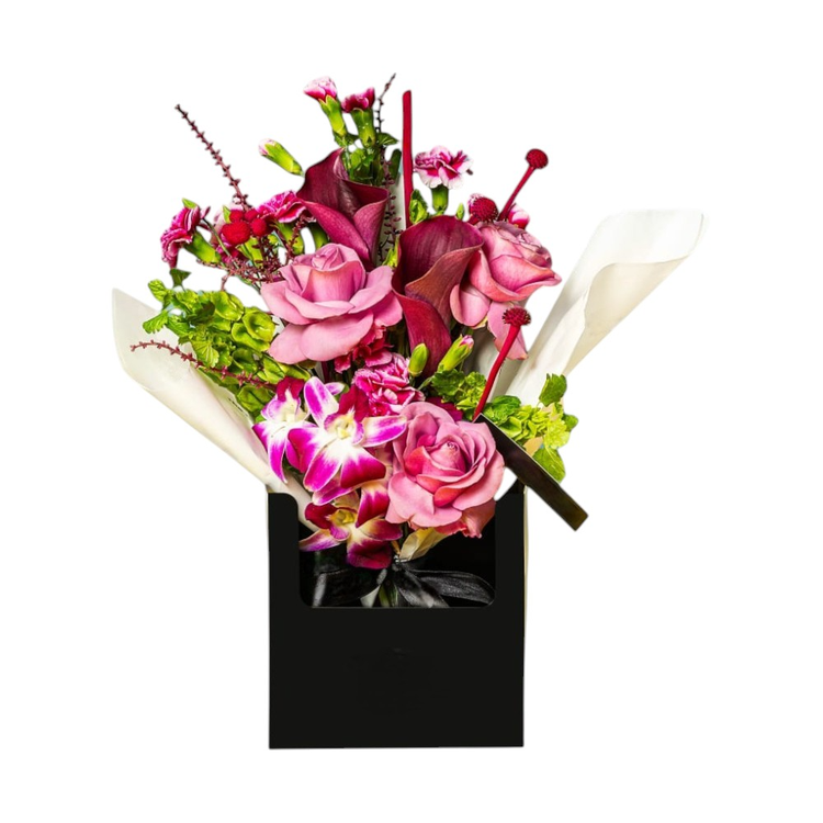 Flores Variadas e Paper Box Bloom, Baby, Bloom
