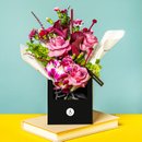 Flores Variadas e Paper Box Bloom, Baby, Bloom