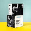 Flores Variadas e Paper Box Bloom, Baby, Bloom