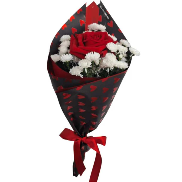 Rosa Vermelha Carinho