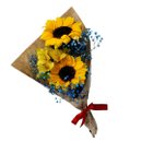 Encantador Buquê com 2 Girassóis