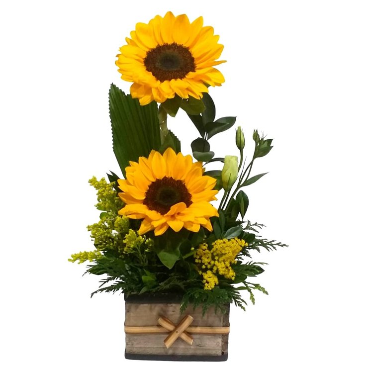 Arranjo Duplo de Girassol no Cachepot