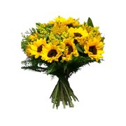 Buquê Luxo de 12 Girassóis