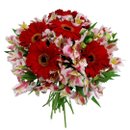 Buquê Luxo de Gérberas com Astromélias