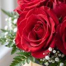 Cachepot de Rosas Vermelhas