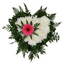 Arranjo de Coração: Crisântemo e Gérbera