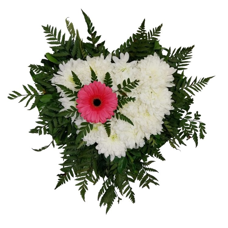 Arranjo de Coração: Crisântemo e Gérbera