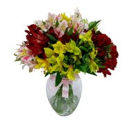 Arranjo de Astromélias Coloridas