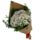 Buquê Vip de Margarida