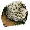 Buquê Vip de Margarida