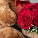 Urso Teddy com Cachepot de Rosas Vermelhas