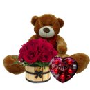 Urso Teddy com Cachepot de Rosas Vermelhas e Chocolate