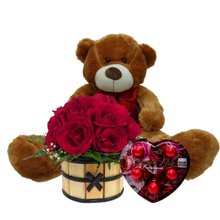 Urso Teddy com Cachepot de Rosas Vermelhas e Chocolate