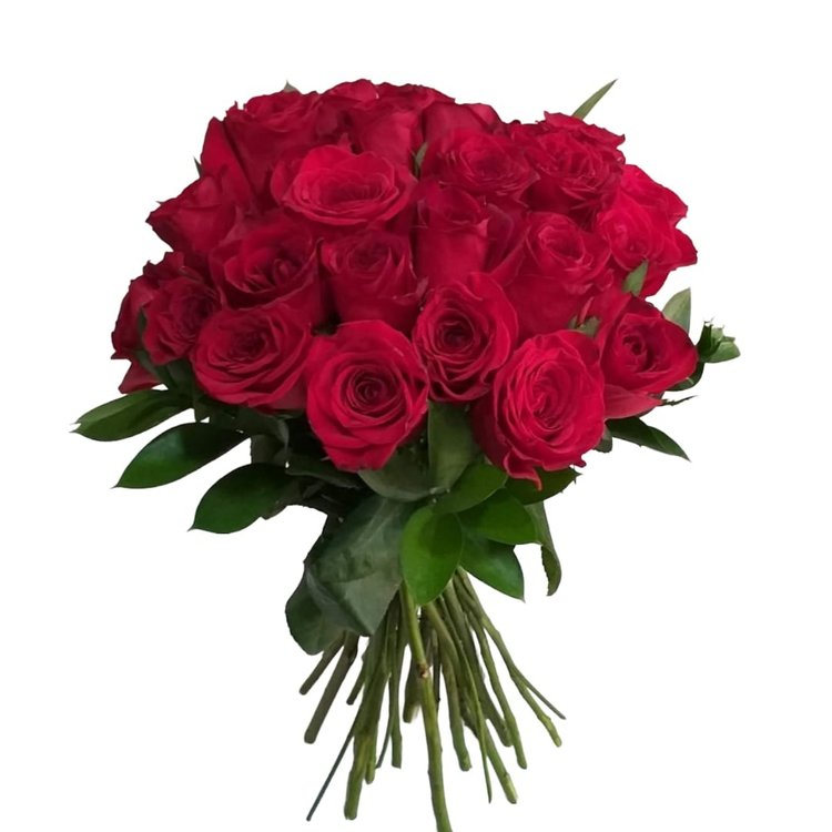 Buquê Meu Encanto com 50 Rosas