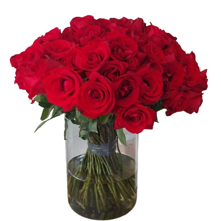 Arranjo Minha Vida com 100 Rosas no Vaso
