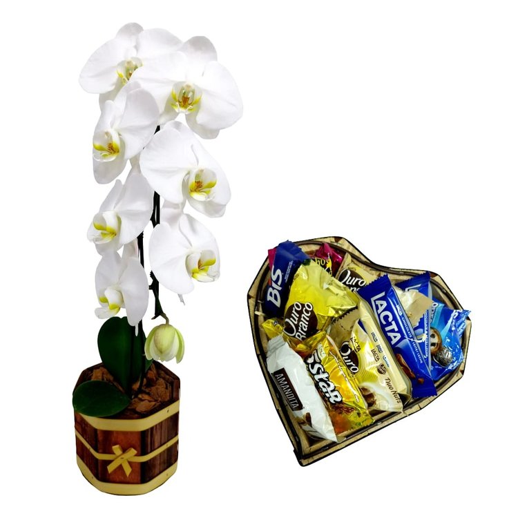 Orquidea Phalaenopsis com Coração de Chocolates