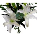 Buquê de Lírios com Eucaliptos