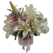 Linha Super Luxo Box com 40 Lírios