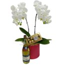 Kit de Orquidea, Espumante e Ferrero Rocher