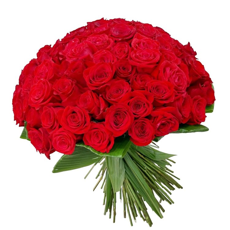 Buquê Luxo de 100 Rosas Importadas