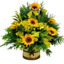 Arranjo de 12 Girassóis no Cachepot 