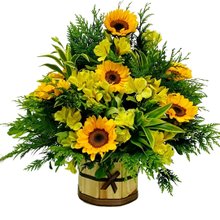 Arranjo de 12 Girassóis no Cachepot 