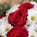Buquê Luxo de Rosas e Margaridas