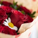 Buquê Encanto de Rosas, Margaridas e Balões
