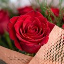 Buquê de Rosas Vermelhas Colmeia Pêssego