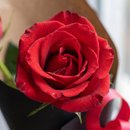 Buquê Passion de Rosas Vermelhas